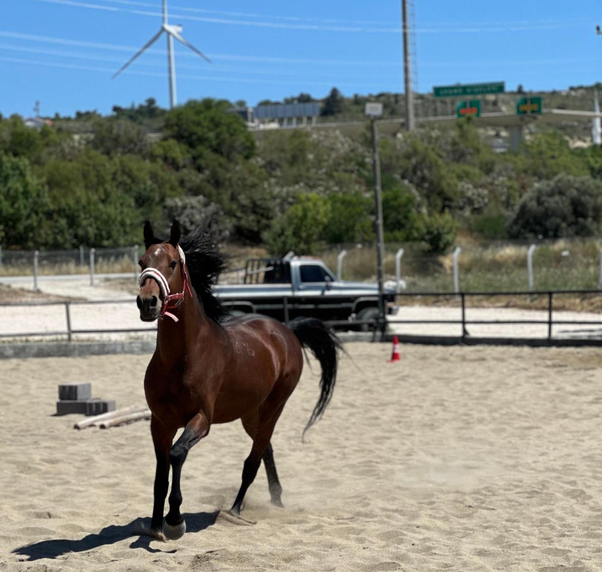 Ride And Stay Çeşme Εξωτερικό φωτογραφία