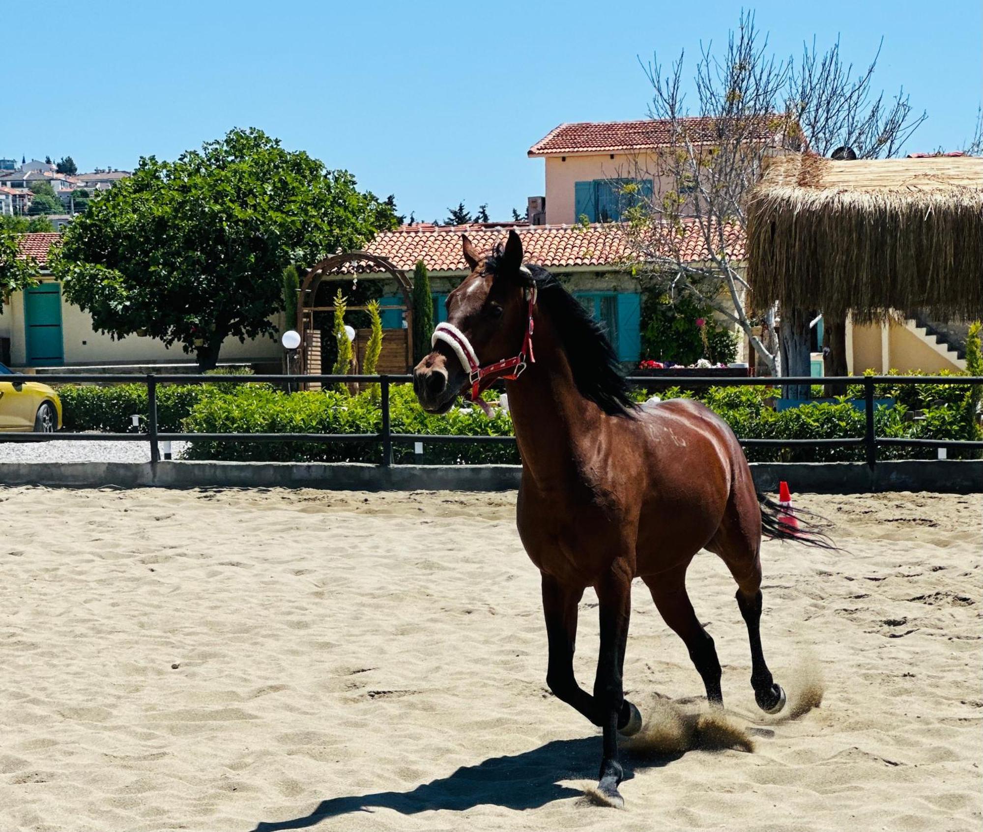 Ride And Stay Çeşme Εξωτερικό φωτογραφία